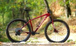 SPECIALIZED S-WORKS EPIC HT ,AXS, Quarq, Reverb, velikost L