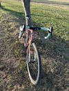 Prodam gravel Rocky Mountain Solo C50