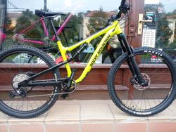 Rocky Mountain Thunderbolt Alloy 50