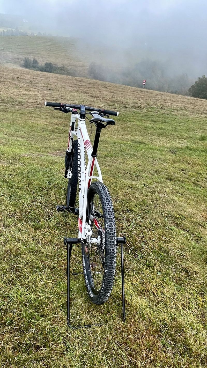 Cannondale Flash