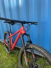 Trail hardtail Pells Root vel. L