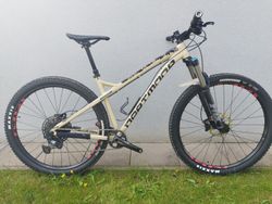 Dartmoor Primal 29 M