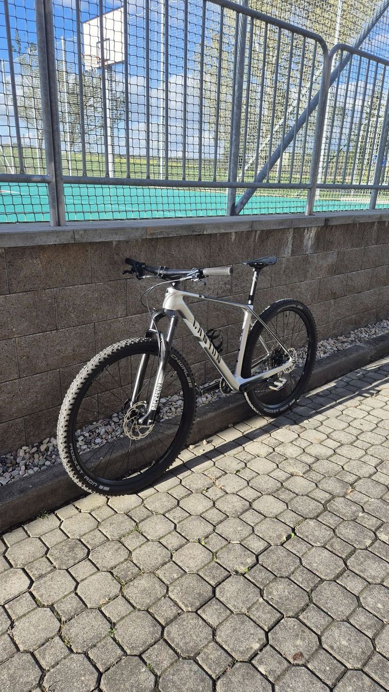 Canyon exceed carbon M 29"