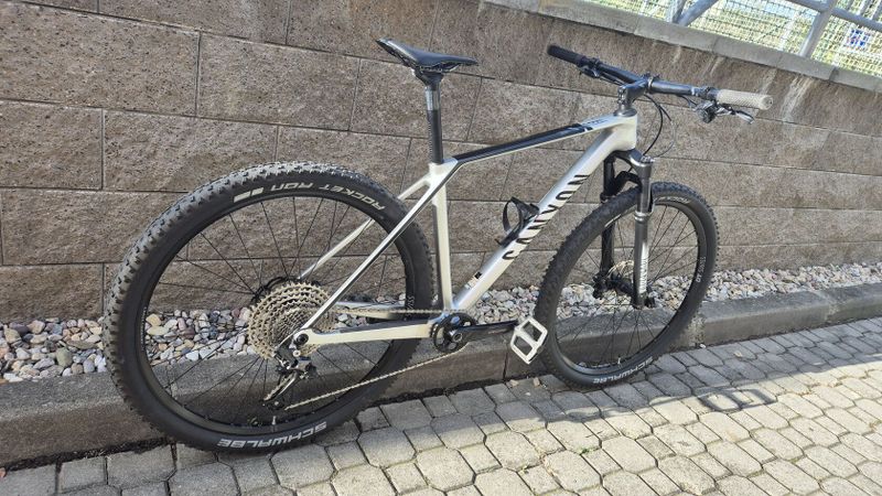 Canyon exceed carbon M 29"