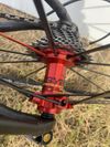 Specialized Allez DSW