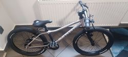 RASCAL BIKES - 20" titanová