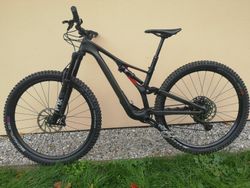 Specialized carbon 29 S