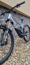 Orbea Wild M-Team