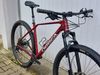 ORBEA ALMA H11 2024