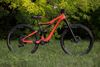 Orbea Rallom M10 29