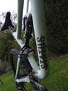 Specialized Status 160 mulet S4