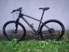 Focus Raven 8.6 Carbon L