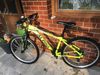 2x Dětské MTB ALPINA NEON LIME