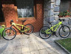 2x Dětské MTB ALPINA NEON LIME