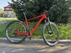 Specialized Stumpjumper WC karbon 29 L 