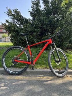 Specialized Stumpjumper WC karbon 29 L 