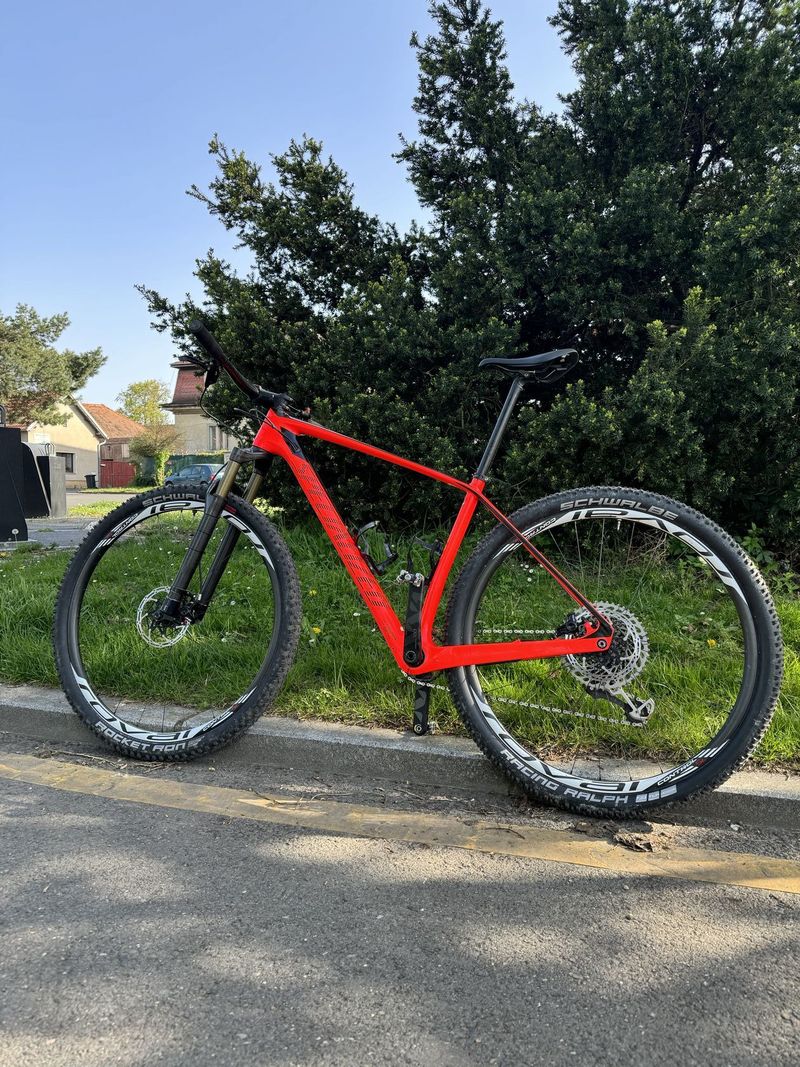 Specialized Stumpjumper WC karbon 29 L 