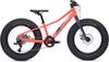 Specialized Fatboy 20, perfektní stav 