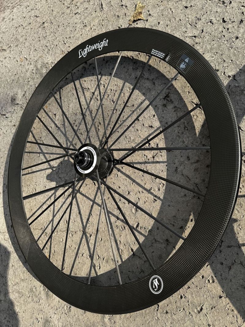 Lightweight Meilenstein Evo disc