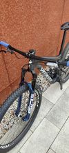 Specialized Epic WC Expert 2024 (M)