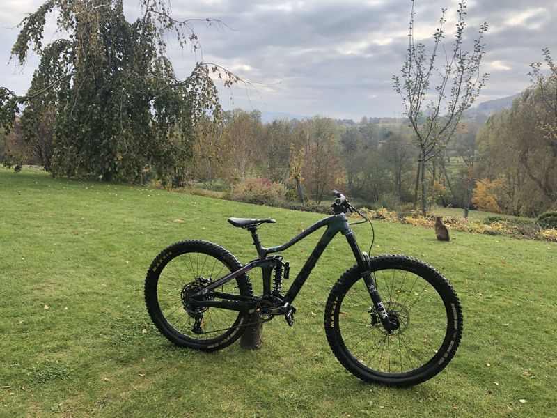 Trek remedy 9.9 limited edition