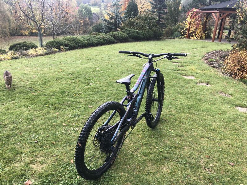 Trek remedy 9.9 limited edition