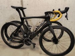 PINARELLO PRINCE DISC