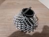 Sram PG1050 11-23 10s