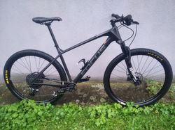 Focus Raven Carbon L