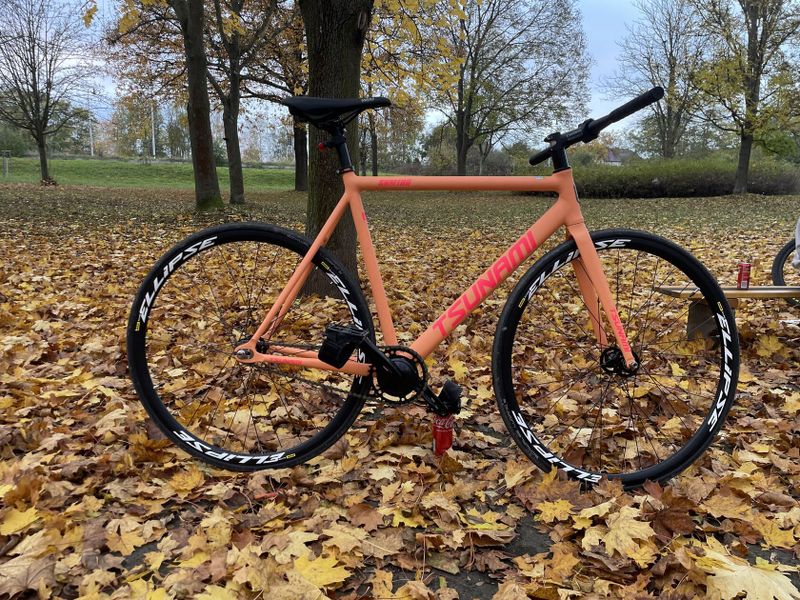 Custom Tsunami build - Fixie, Figed gear, Festka