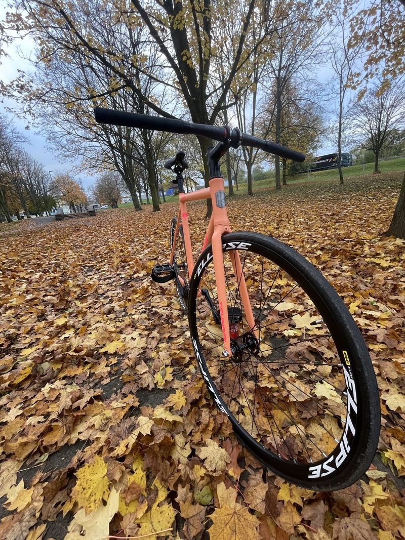 Custom Tsunami build - Fixie, Figed gear, Festka