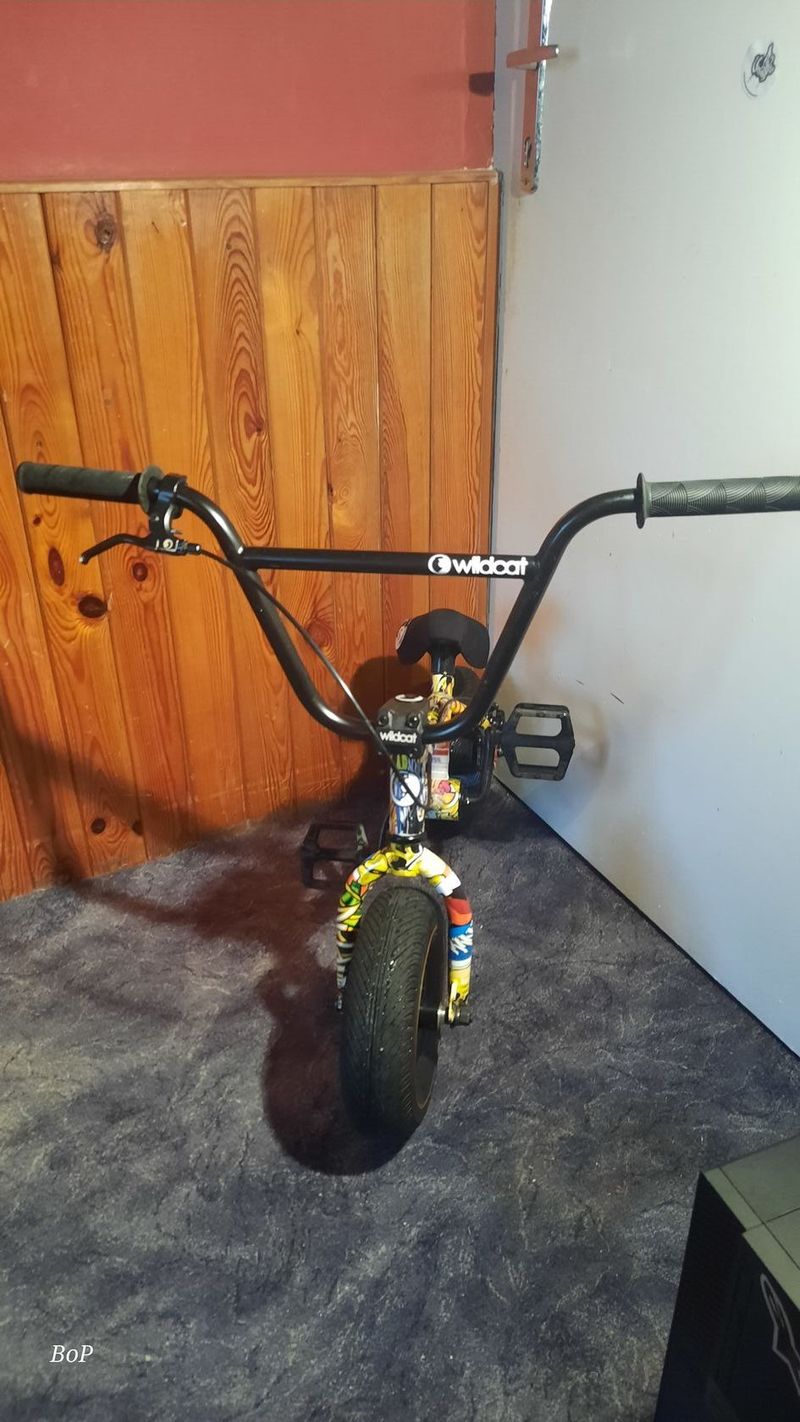 Mini BMX Wildcat Original 2 s brzdou + pegy ZDARMA