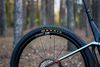 Mondraker F-Podium Carbon RR