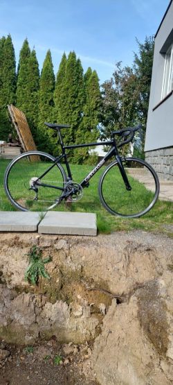 CANNONDALE Optimo 3 