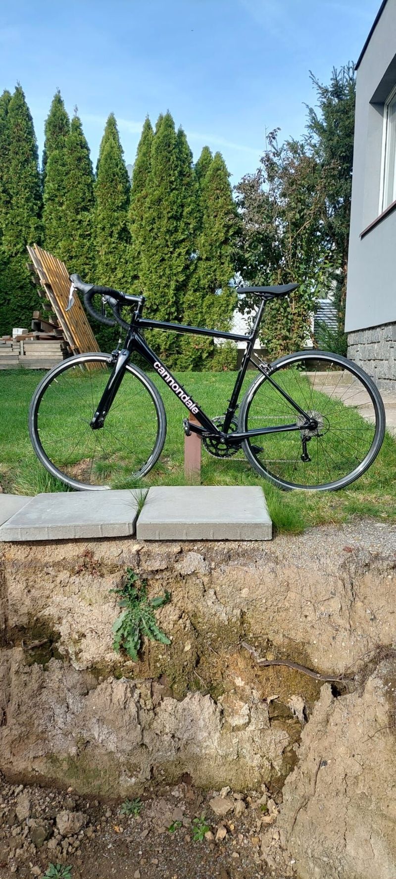 CANNONDALE Optimo 3 