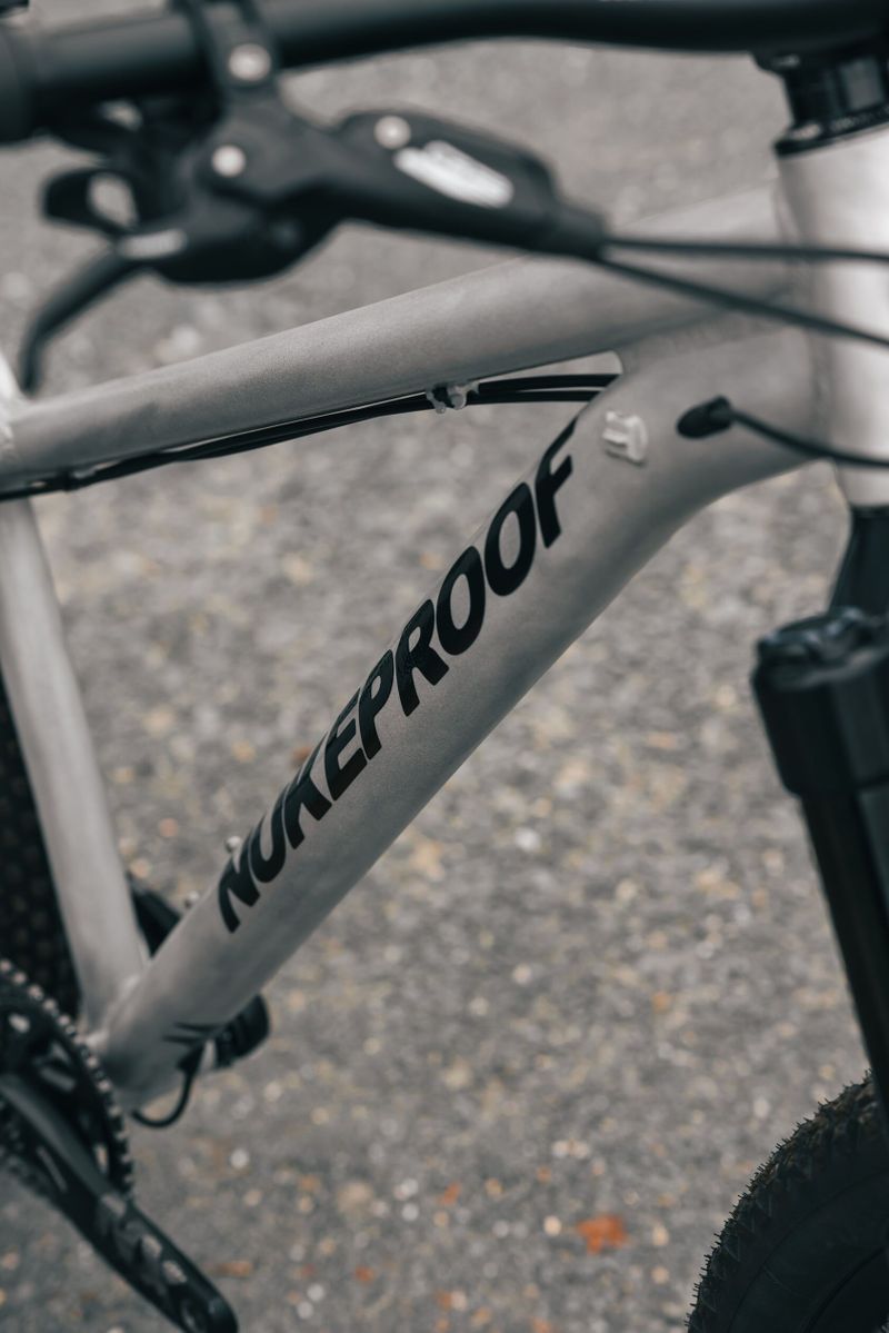 Nukeproof Scout 290 