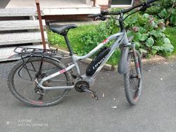 Haibike SDURO M