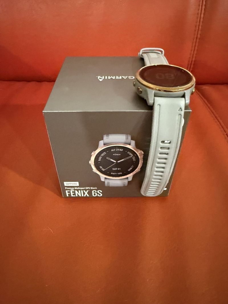 Hodinky Garmin fenix 6s saphire