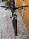 Specialized P3 2019