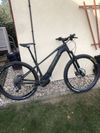 Orbea Wild 2019