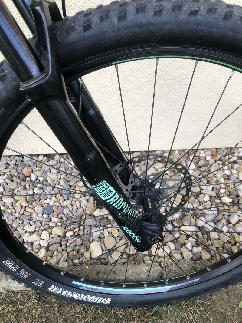 Orbea Wild 2019