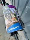 Giant Defy Aluxx vel. M/L