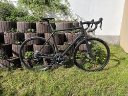 Canyon Endurace CF 8 2022