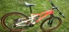 Specialized Epic FSR Comp 29 