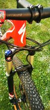 Specialized Epic FSR Comp 29 