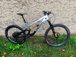 CANYON Torque CF CLLCTV FW