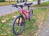 prodám 20" kolo pro malou bike princeznu