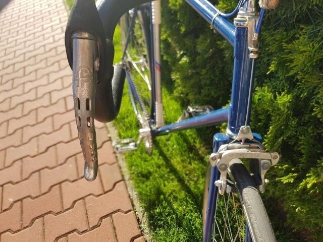 Favorit SingleSpeed