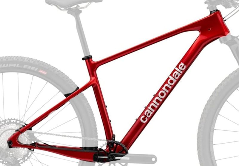 Cannondale Scalpel HT/Transmission/DT Swiss/Lefty carbon