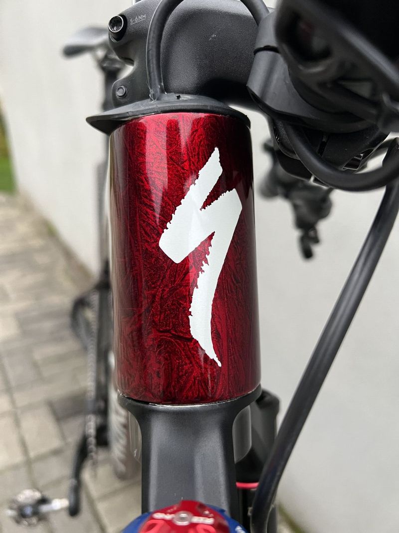 Specialized S-Works epic WC